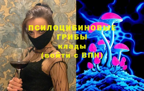 кокс Алексин