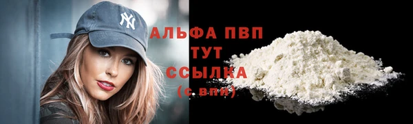 apvp Алзамай