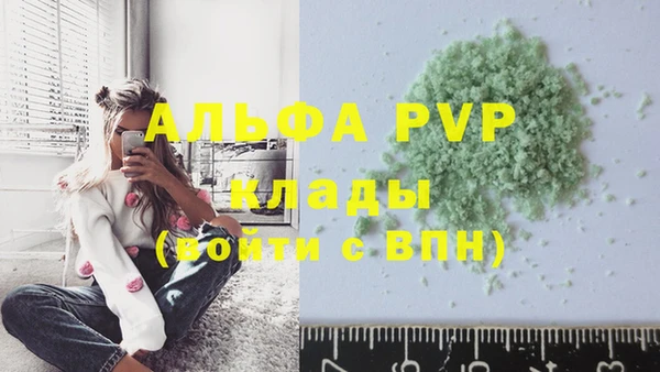 apvp Алзамай