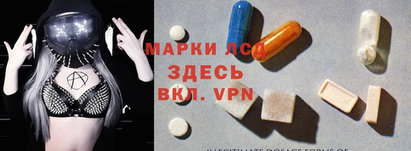 apvp Алзамай